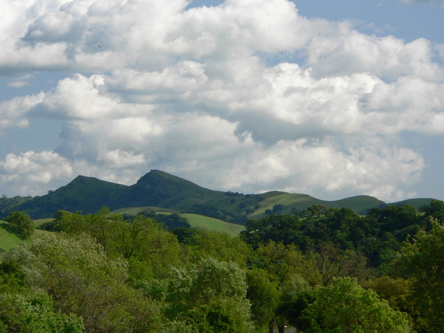 Sunol Valley Landscape