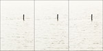 Post in Water, Series Triptych
