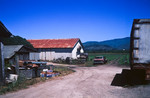 Andreotti's Farm